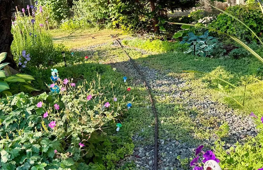 Campbell Cottage B&B-1
